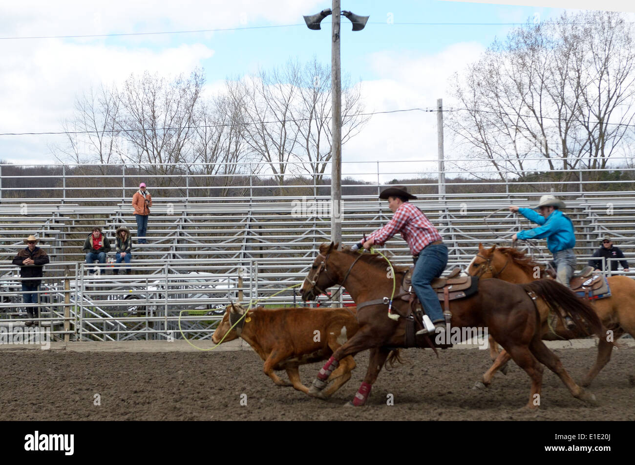 Dos chicos competir en roping terneros al rodeo de adolescentes. Foto de stock