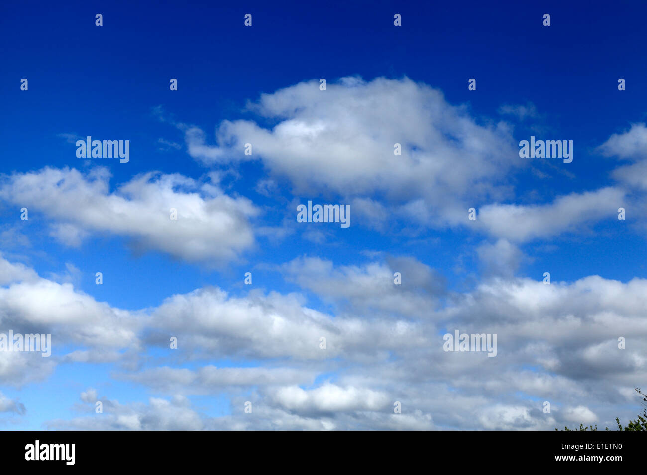 Nubes cumulus, cielo azul cielo nuboso UK Foto de stock