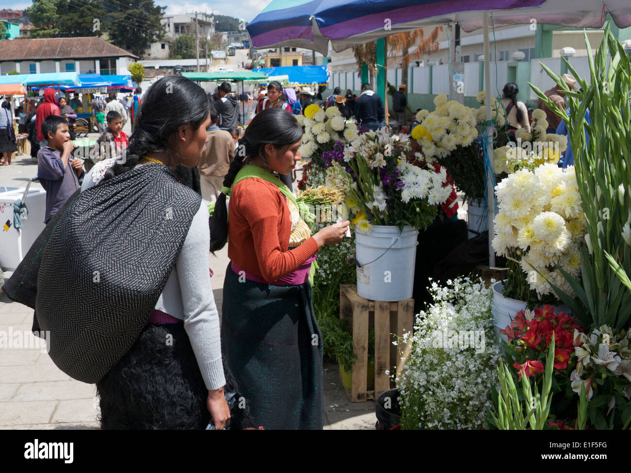 Dos mujeres indias elegir flores mercado dominical de San Juan Chamula Chiapas México Foto de stock