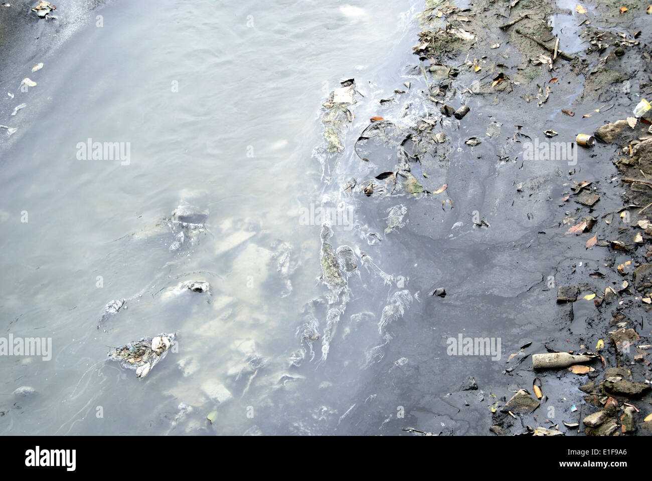 Contaminación del río Foto de stock