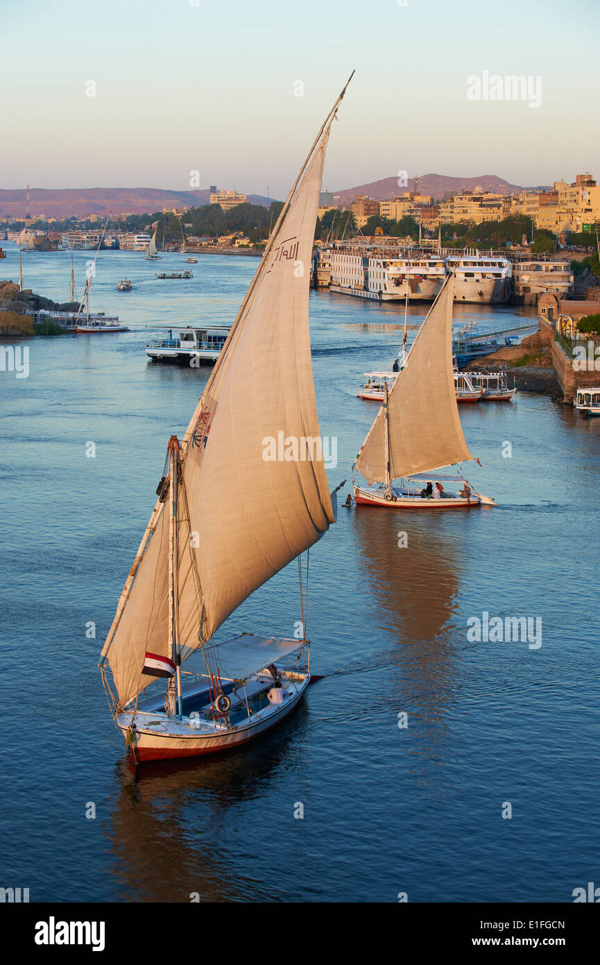 Egipto, el valle del Nilo, Asuán, Feluchos en el río Nilo. Foto de stock
