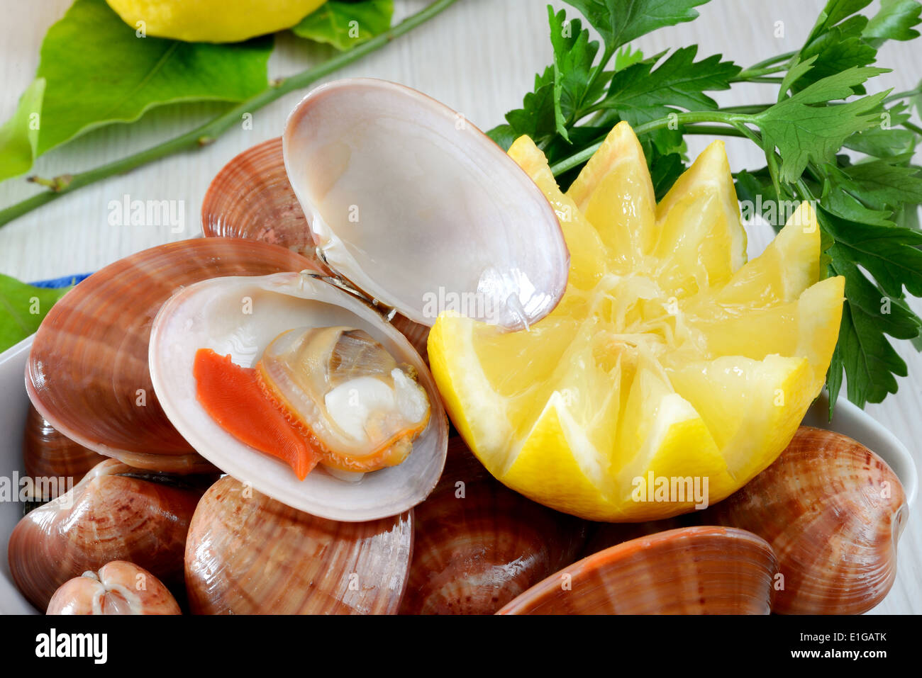 Frutos de mar crudos llamado fasolari vivir nuevamente con limón Foto de stock