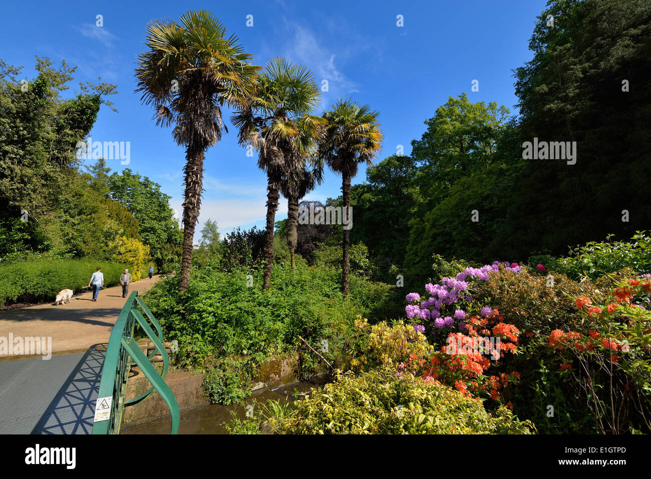Alexandra Park. Hastings East Sussex, UK Foto de stock