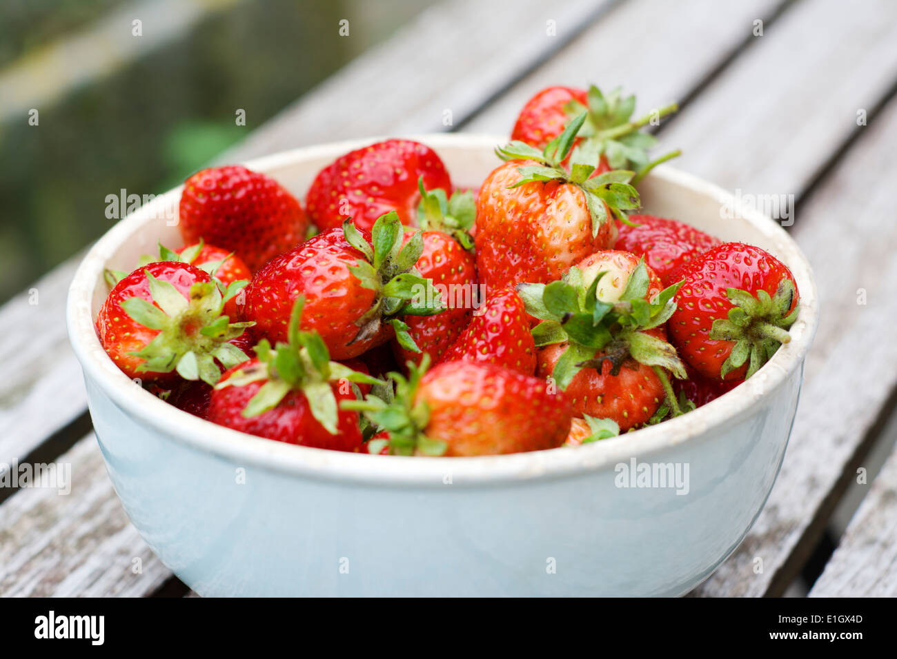 Recipiente con fresas frescas del jardín. Foto de stock