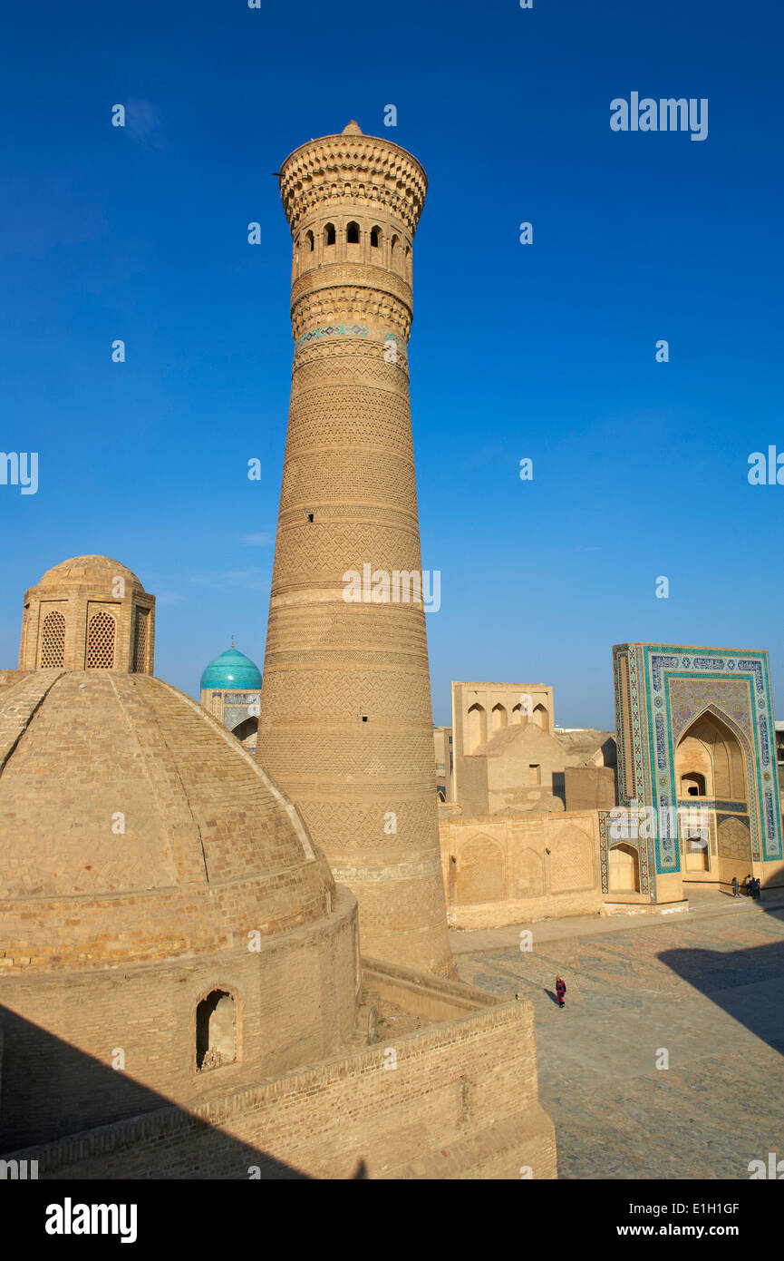 Uzbekistán, Bukhara, patrimonio mundial de la Unesco, la mezquita Kalon Foto de stock