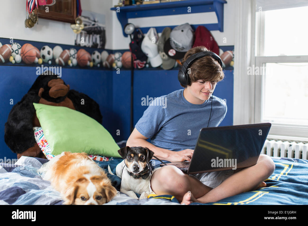 Adolescente sentada en la cama con ordenador portátil, con perros Foto de stock