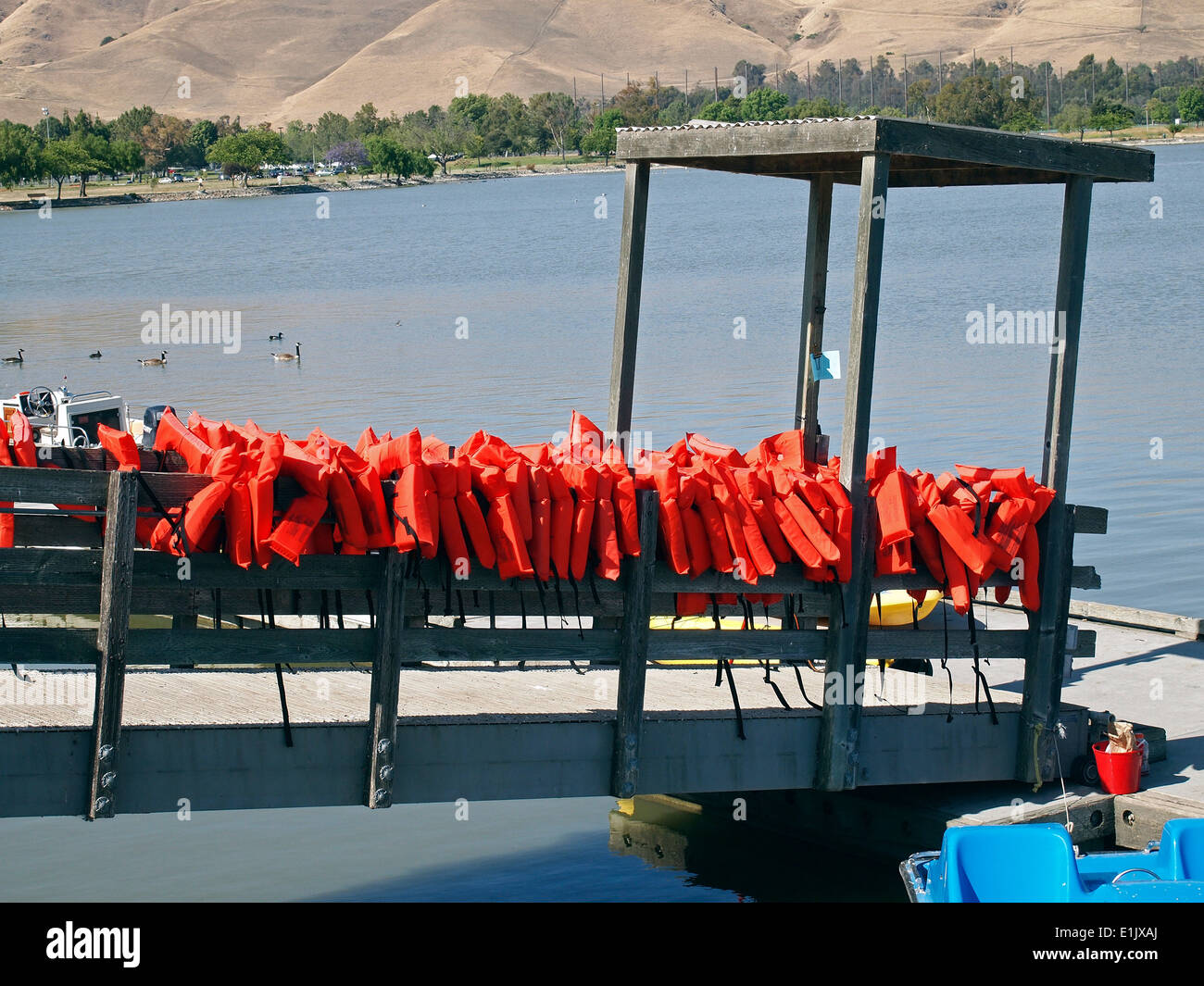 Chalecos salvavidas Lake Elizabeth Fremont, California Foto de stock