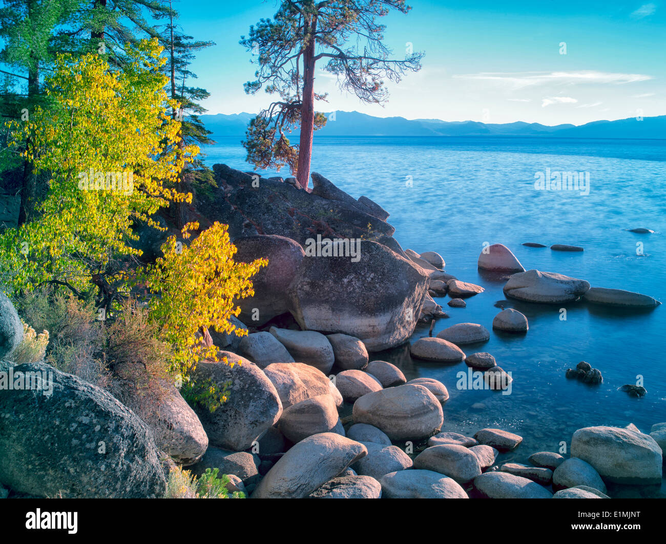 Rocas de Boulder y color en el otoño en Shoreline de Lake Tahoe, Nevada Foto de stock