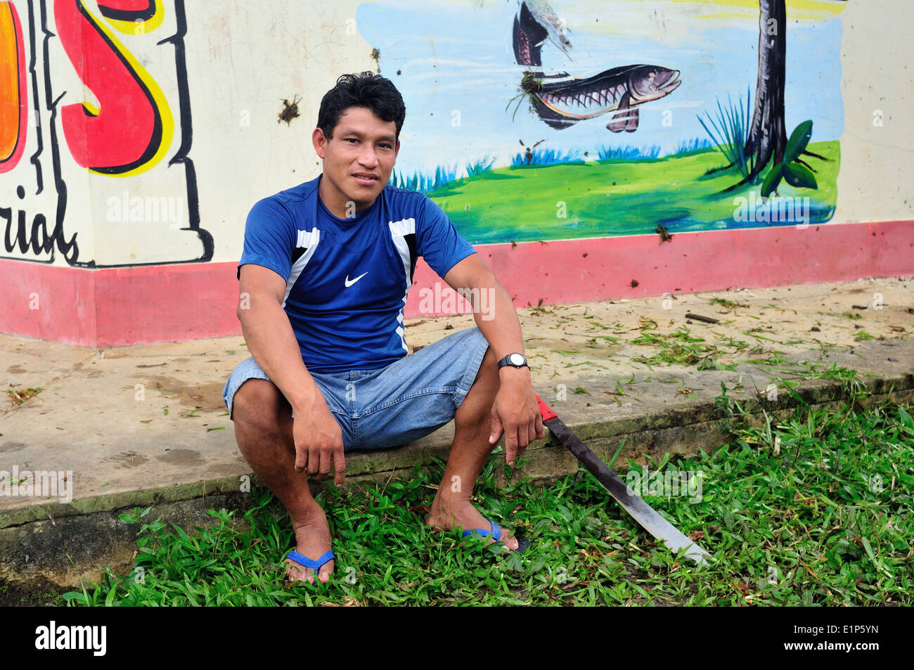 Cortar el césped - Paiche pescado pintura en Industria - PANGUANA . Departamento de Loreto .PERÚ Foto de stock