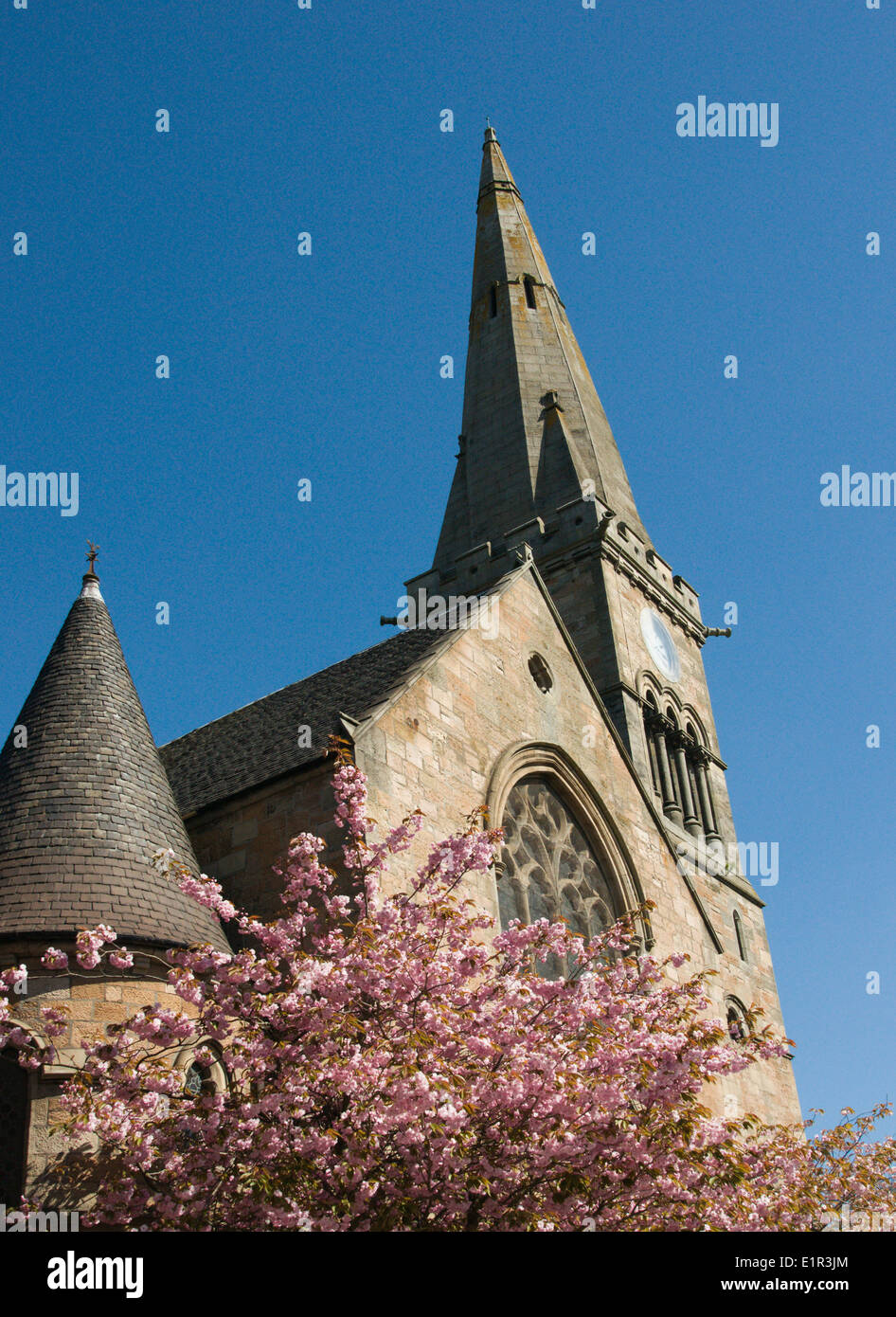 Dalziel Saint Andrews iglesia, Motherwell, Lanarkshire, con uno de los cerezos en flor en el recinto Foto de stock