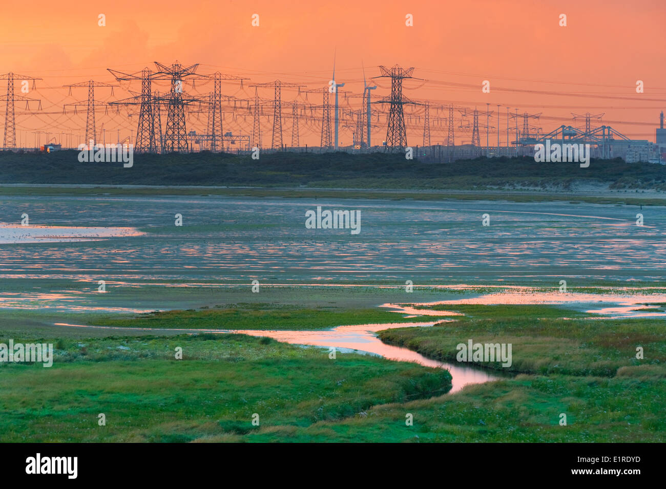 Marismas de agua salada a lo largo de la costa holandesa durante el verano con la industria del puerto de Rotterdam en el horizonte Foto de stock