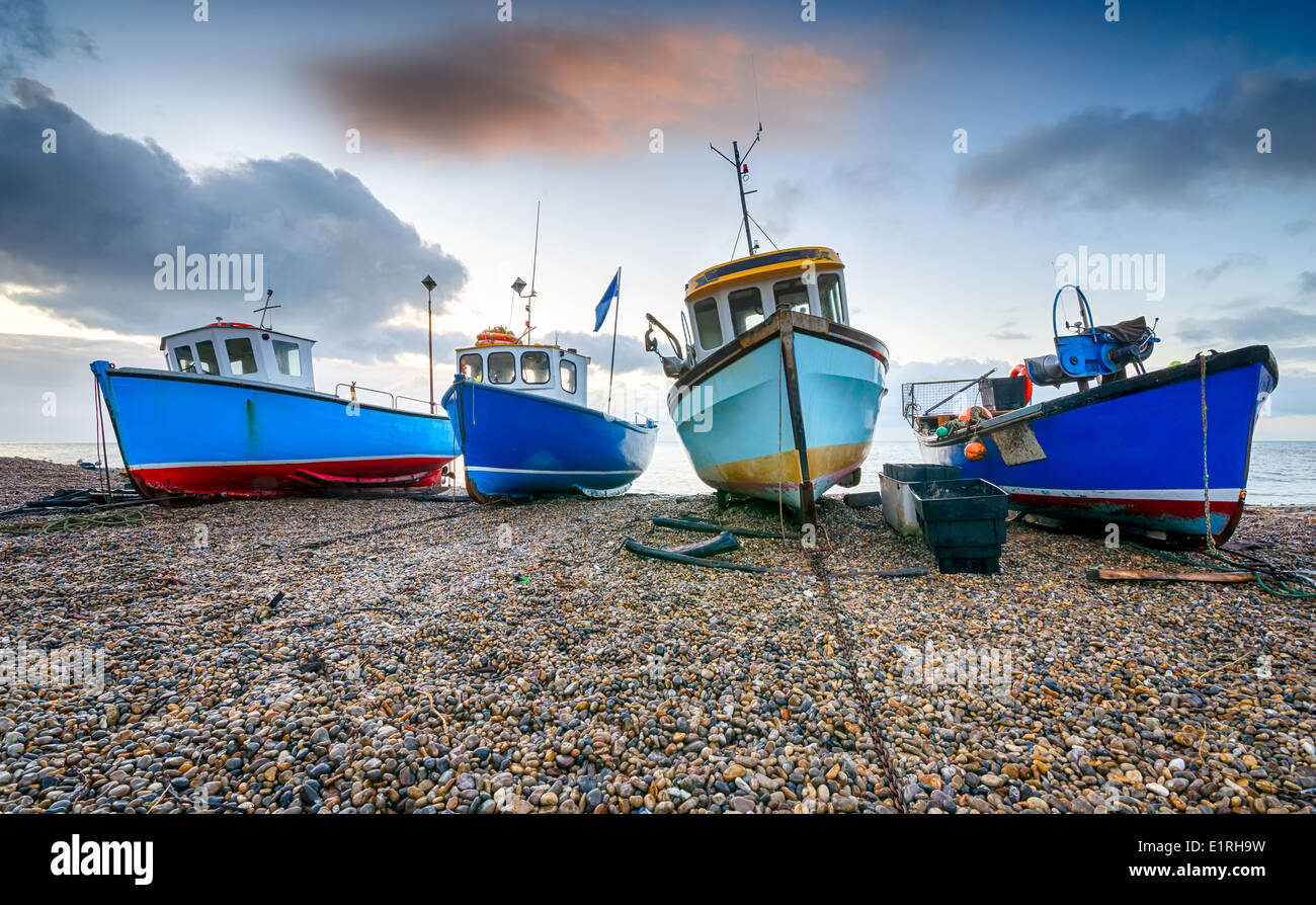 Barcos de pesca en una playa de guijarros en la cerveza en Devon Foto de stock