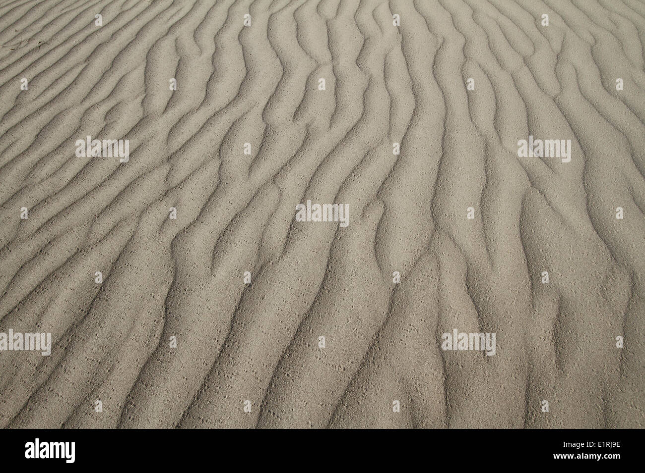 Patrones en la arena de la costa de Rottumeroog Foto de stock