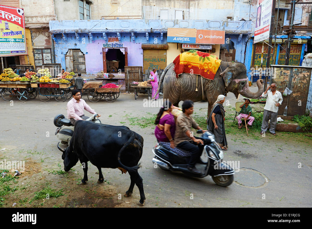 La India, Rajastán, Jodhpur, la ciudad azul Foto de stock