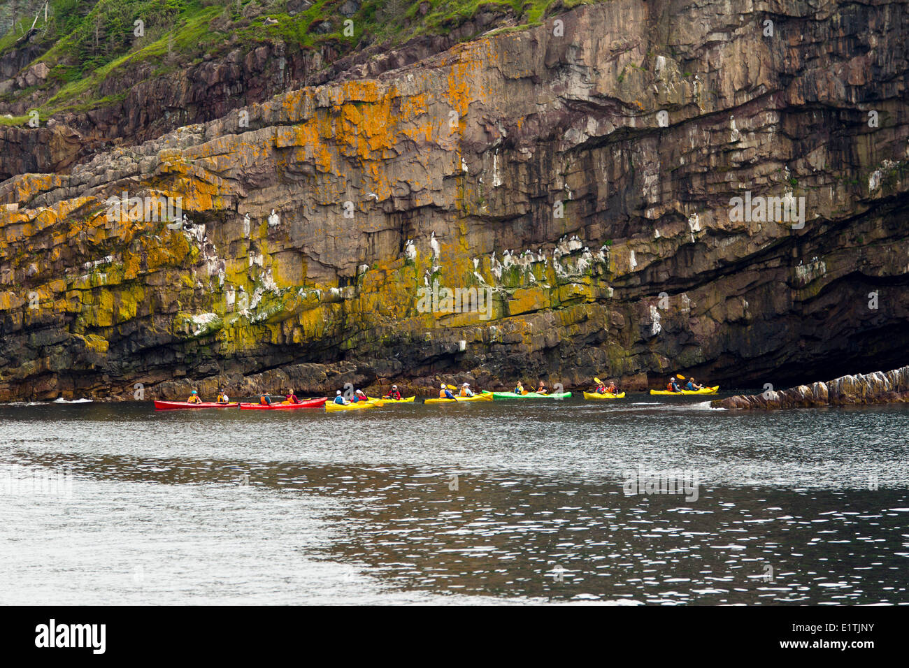 Kayak de mar a lo largo de acantilados costeros, Reserva Ecológica Witless Bay, Newfoundland, Canadá Foto de stock