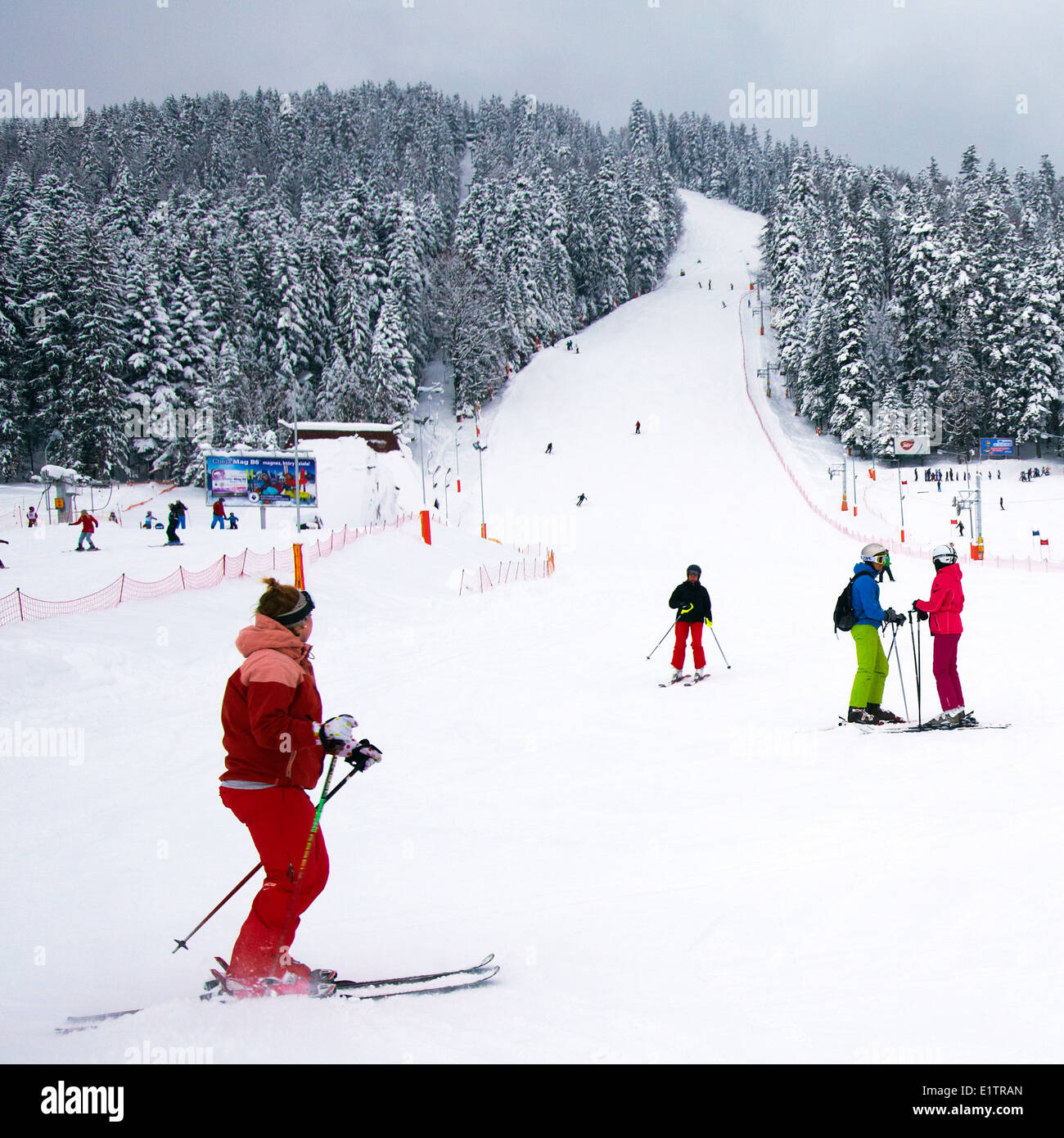 Europa, Polonia, ciudad de la provincia de Malopolska, Zakopane, ski slope Foto de stock