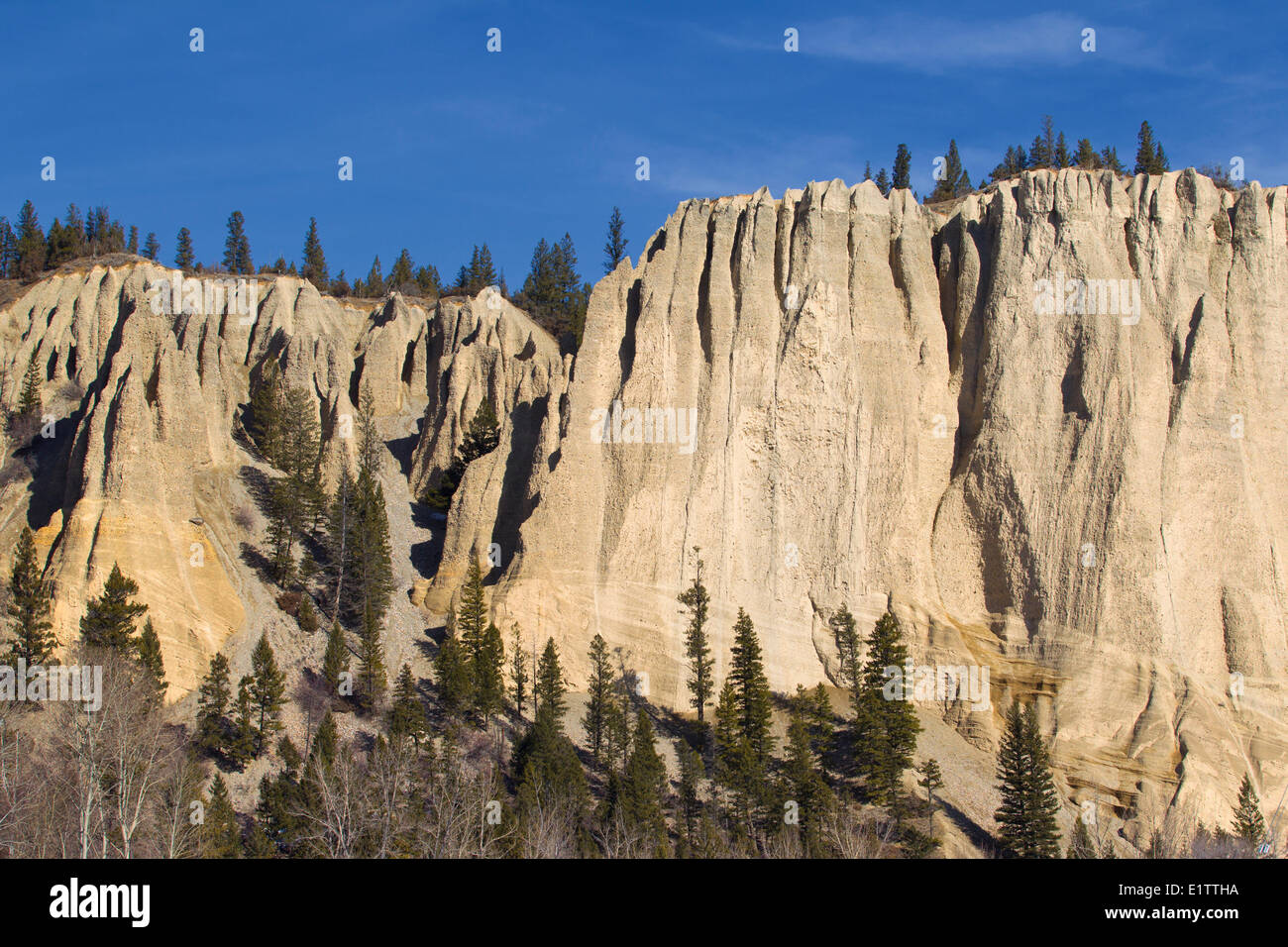 Hoodoos, Dutch Creek, British Columbia, Canadá Foto de stock