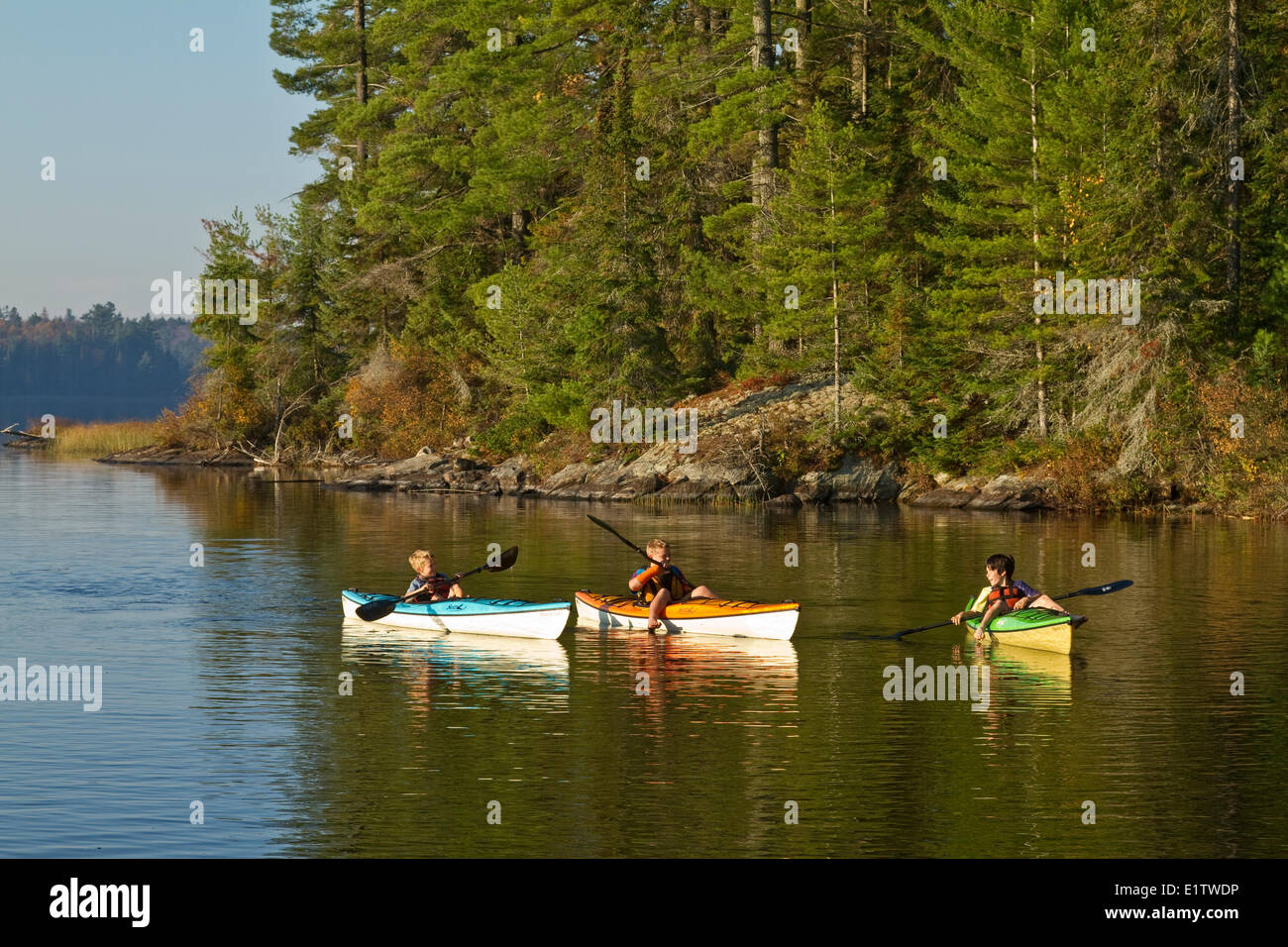 Tres jóvenes remar kayaks en el lago de origen, Algonquin Park ,en Ontario, Canadá. Foto de stock