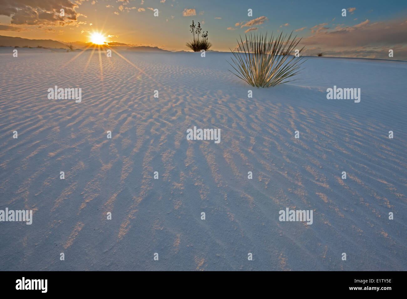 Monumento Nacional White Sands, Nuevo México, EE.UU. Foto de stock