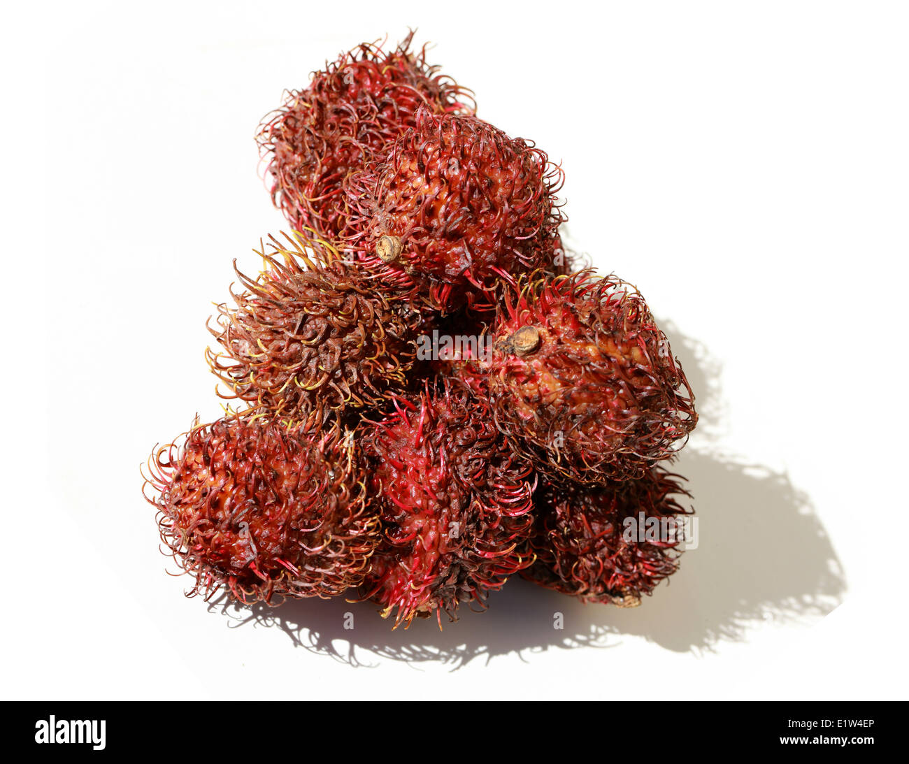 Rambután Frutas, Nephelium lappaceum, Sapindaceae. Malasia e Indonesia. Foto de stock