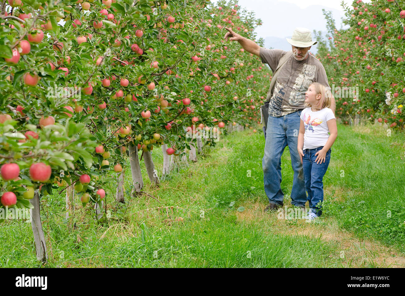 Niña disfruta de una huerta de tour con Apple agricultor cerca Keremeos en el Similkameen región de British Columbia, Canadá Foto de stock