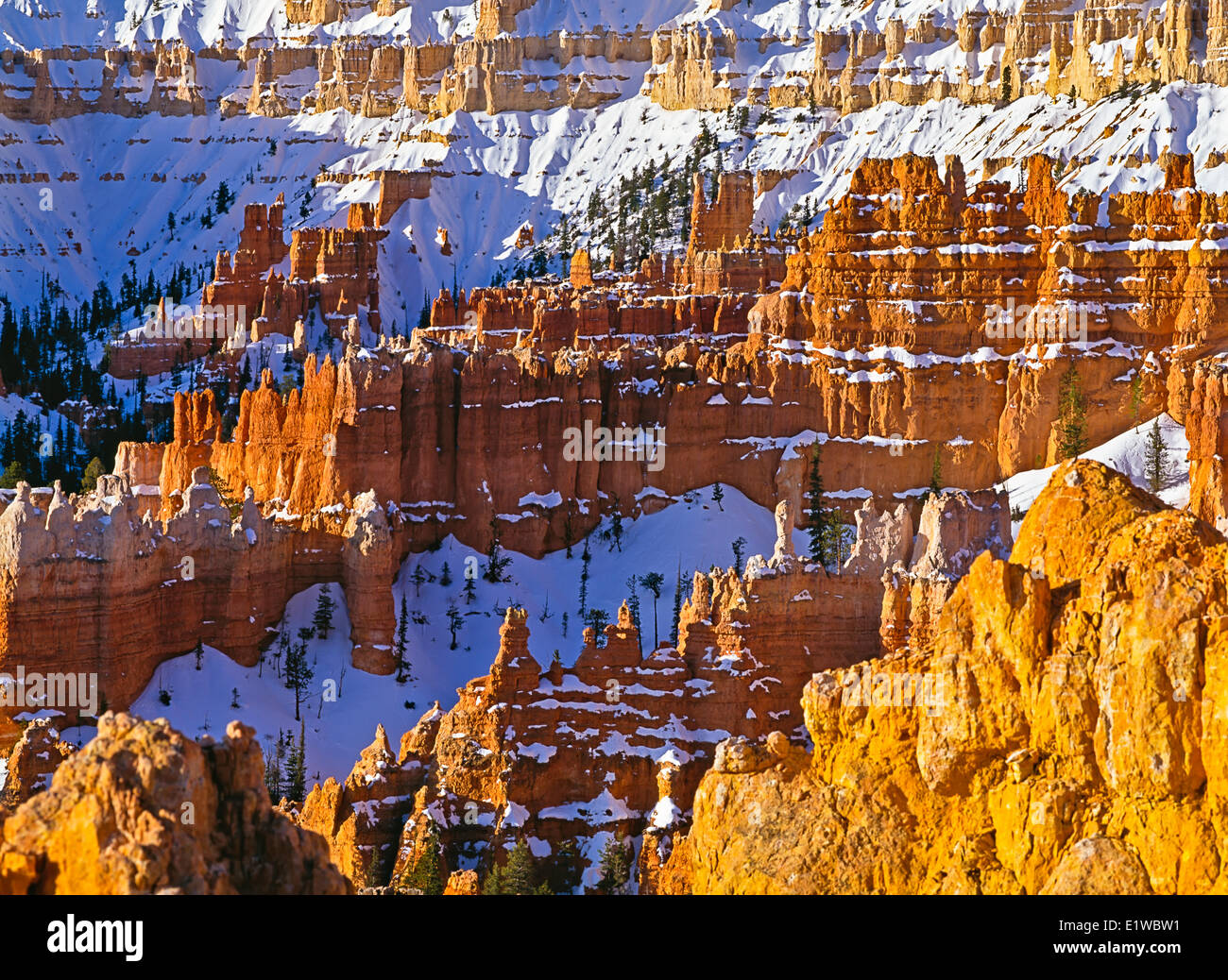 Bryce Canyon National Park, Utah, Estados Unidos de América Foto de stock