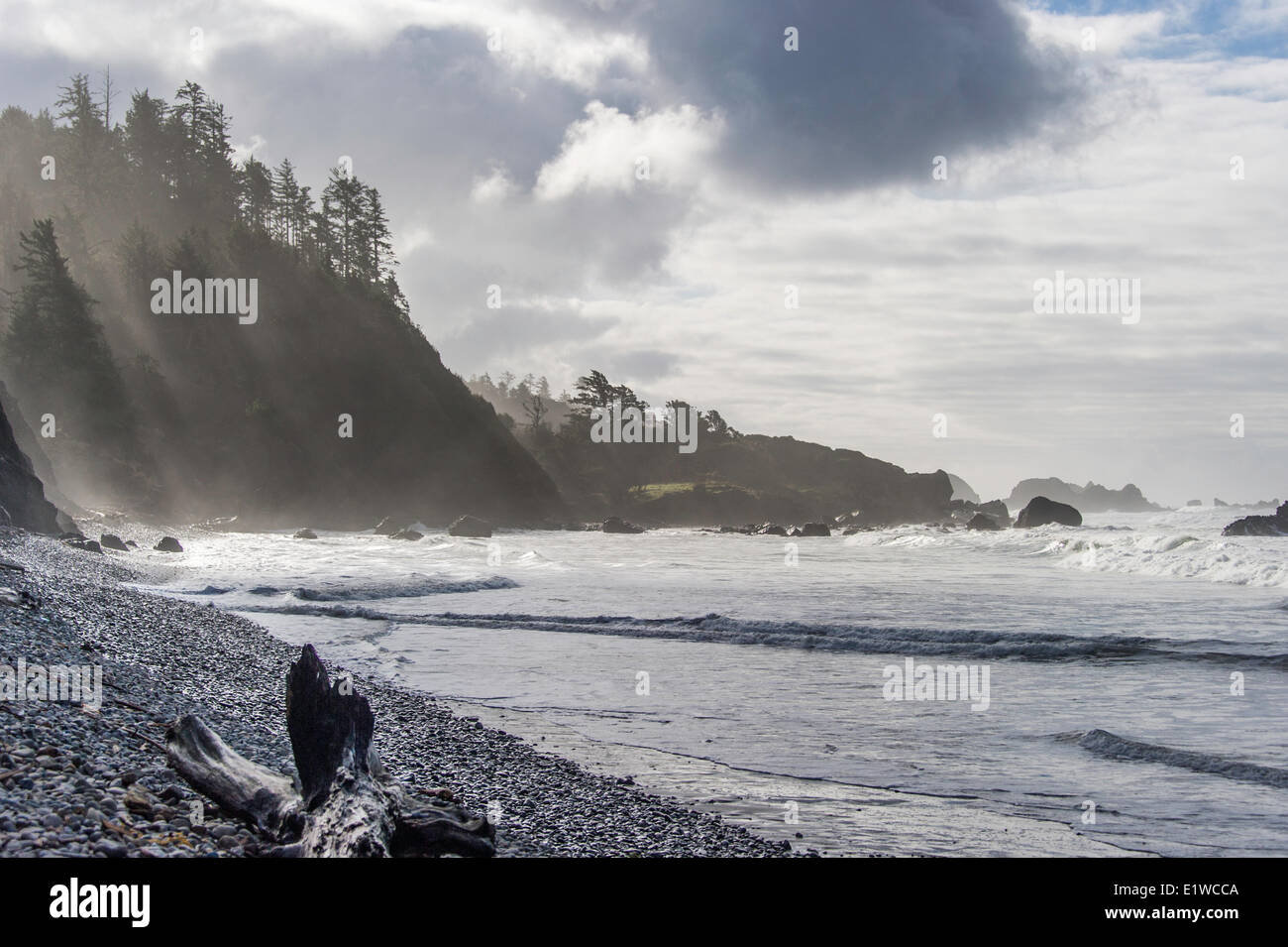 Nublado costa de Oregon a Cannon Beach, Oregon, Estados Unidos de América Foto de stock