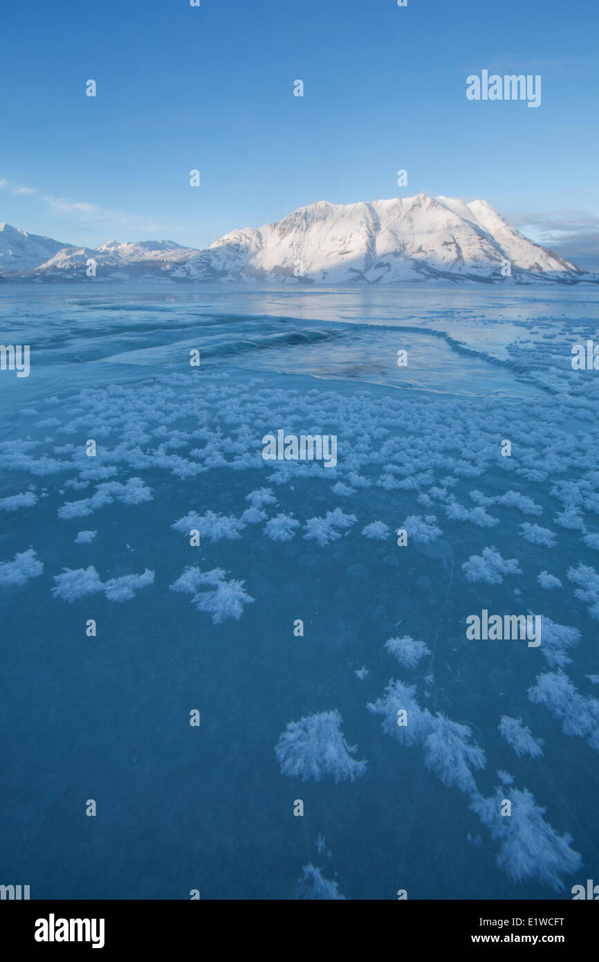 Crecen los cristales de hielo en la superficie congelada Kluane Lake con ovejas iluminación de montaña en la distancia. Kluane National Park Foto de stock