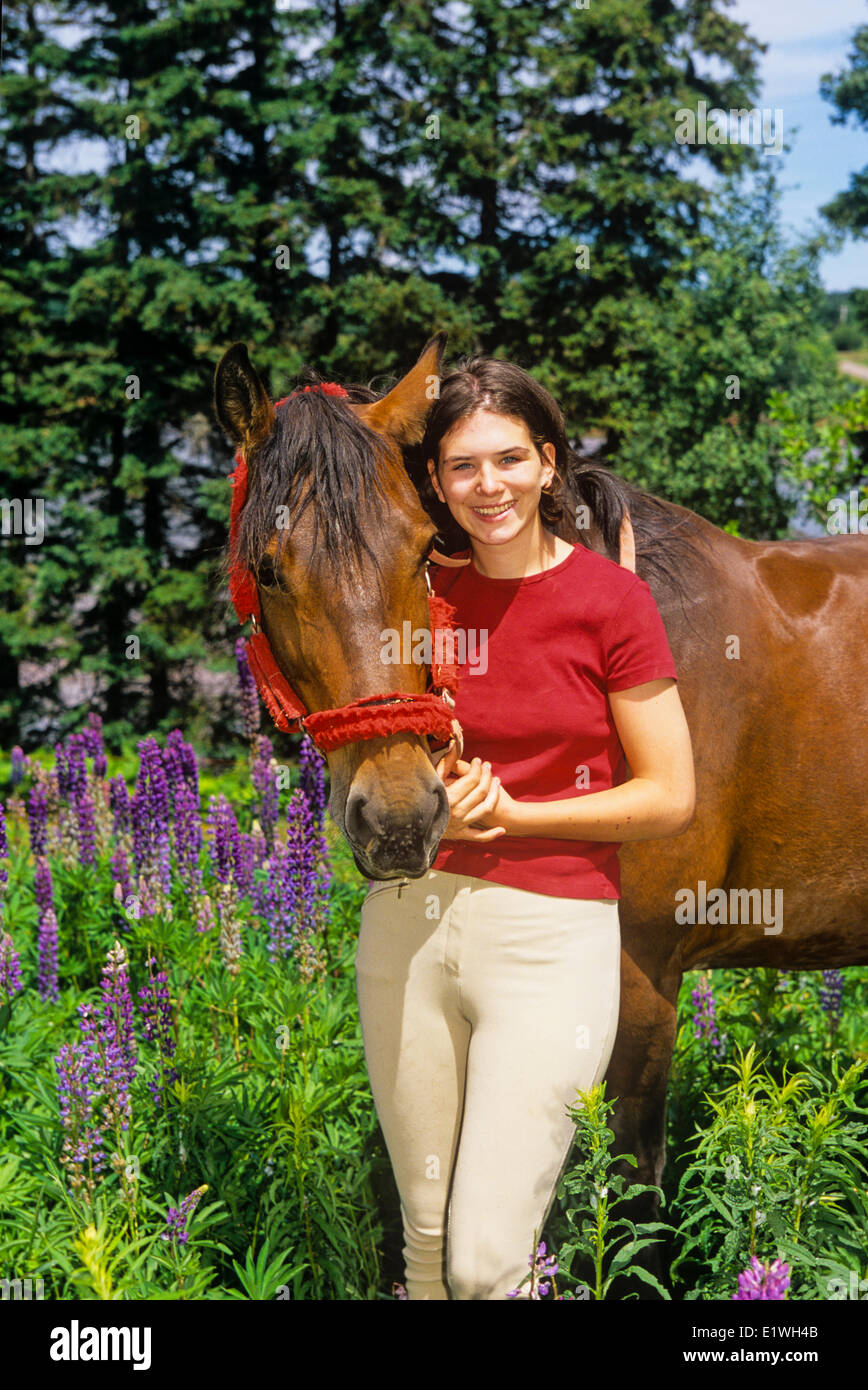 Joven y caballo en campo lupino St. Catherines, Prince Edward Island, Canadá, modelo liberado Foto de stock