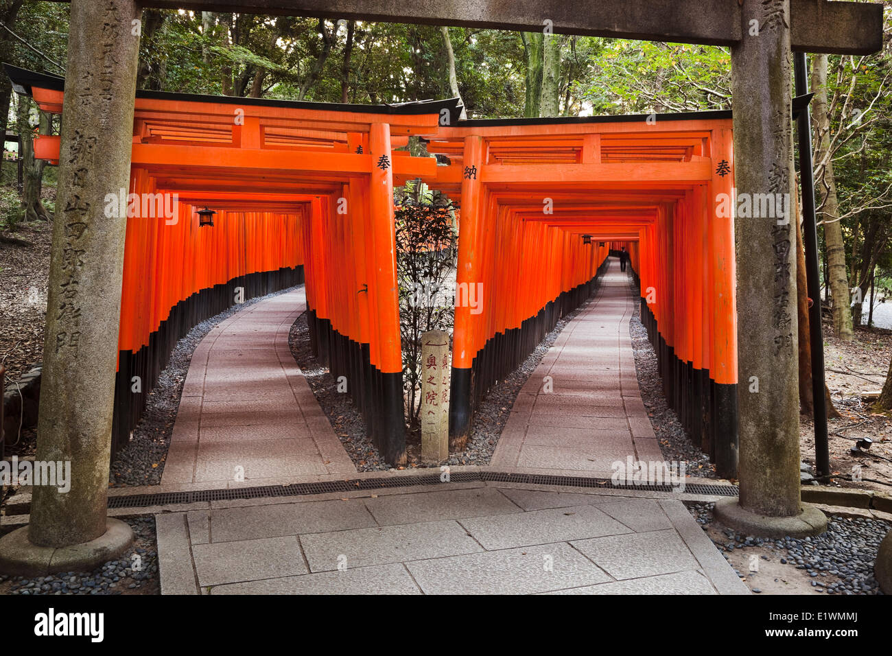 Dedicado al dios Inari el santuario Fushimi Inari sake de arroz es famoso por sus miles de puertas torii vemilion que ocupan Foto de stock