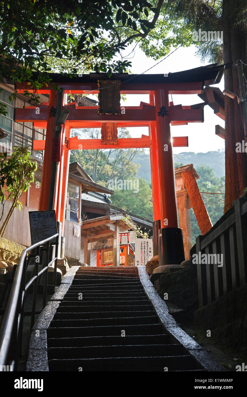 Dedicado al dios Inari el santuario Fushimi Inari sake de arroz es famoso por sus miles de puertas torii vemilion que ocupan Foto de stock