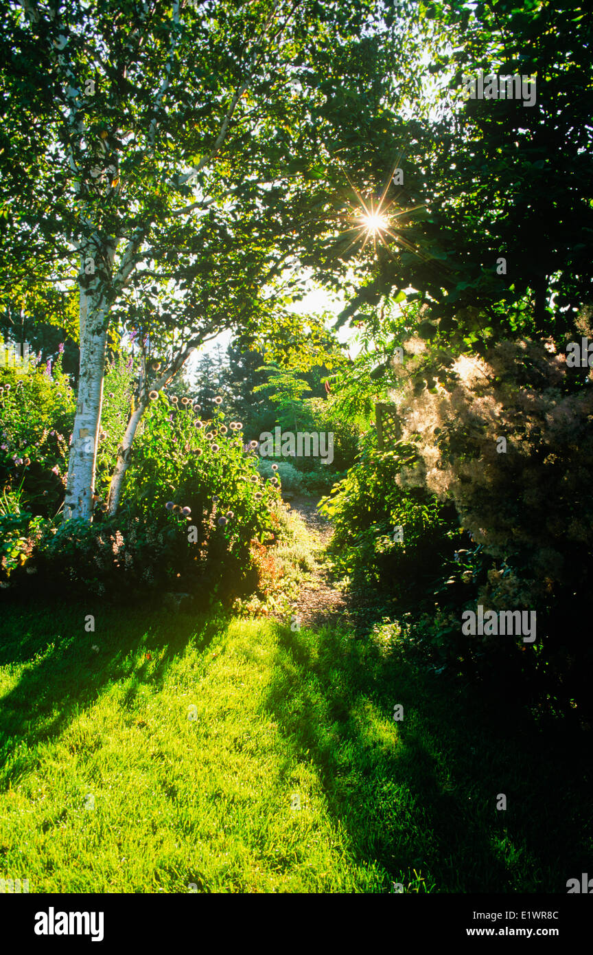 ' Placeres perenne', Country Garden, Glen Valley, Prince Edward Island, Canadá Foto de stock