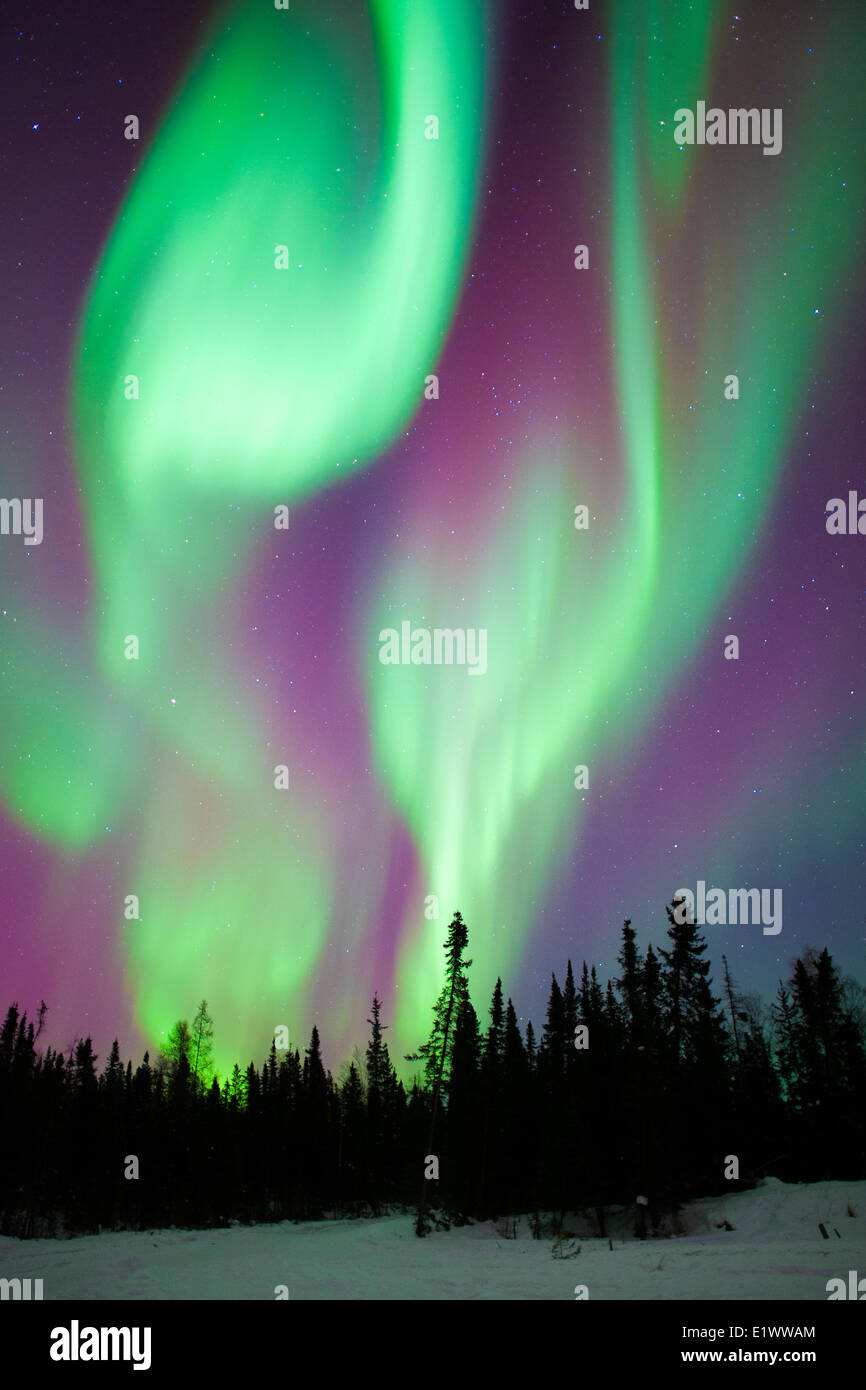 1.800+ Aurora Boreal Laponia Fotografías de stock, fotos e imágenes libres  de derechos - iStock