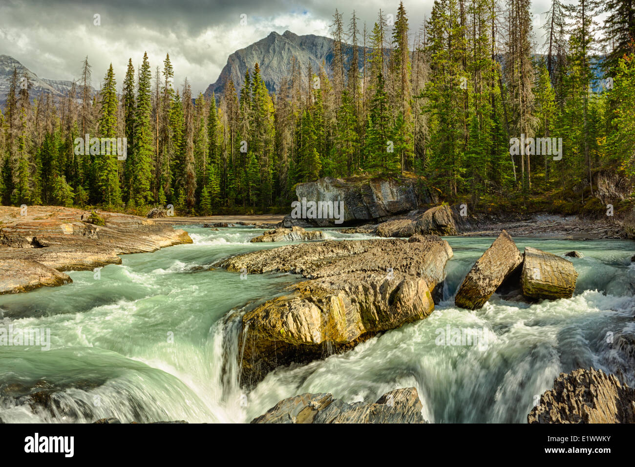 El Puente Natural, el Kicking Horse River, el Parque Nacional Yoho, British Columbia, Canadá Foto de stock