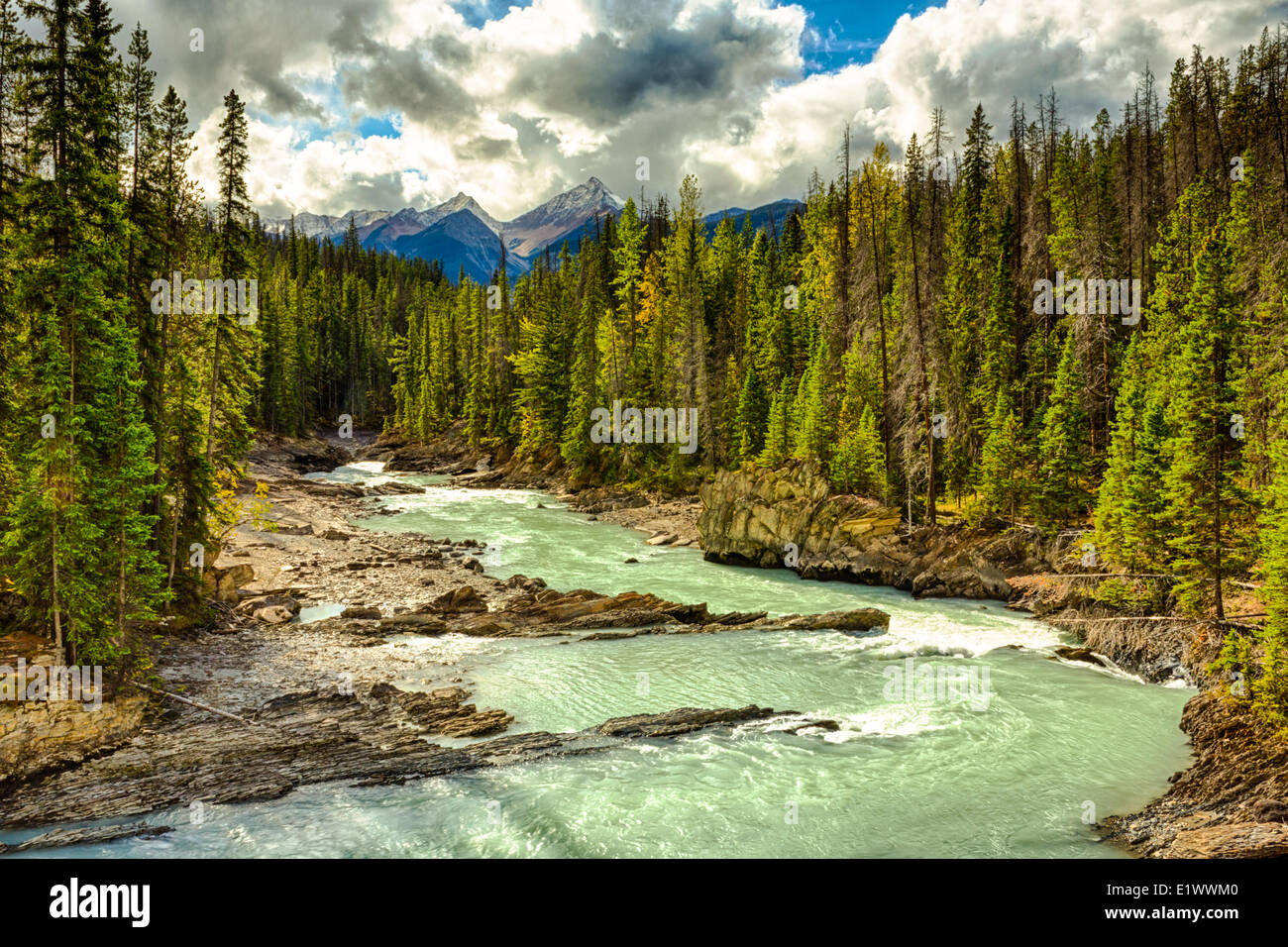 El Puente Natural, el Kicking Horse River, el Parque Nacional Yoho, British Columbia, Canadá Foto de stock