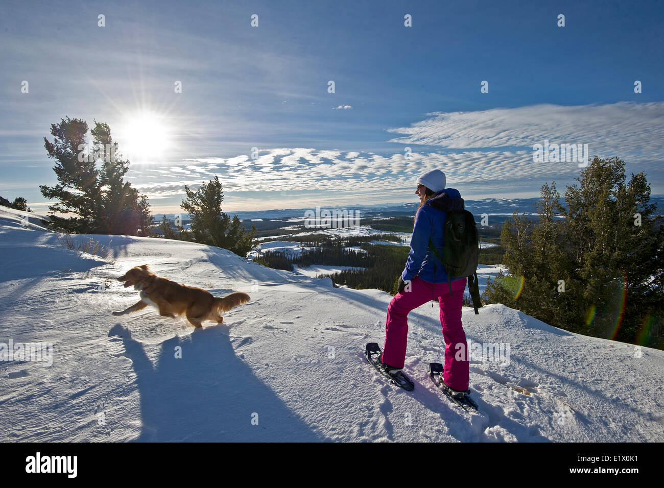 Una mujer joven de su perro pausa para un descanso mientras las raquetas de nieve en su camino a lo largo de una cresta de montaña de Greenstone West Kamloops Thompson Foto de stock