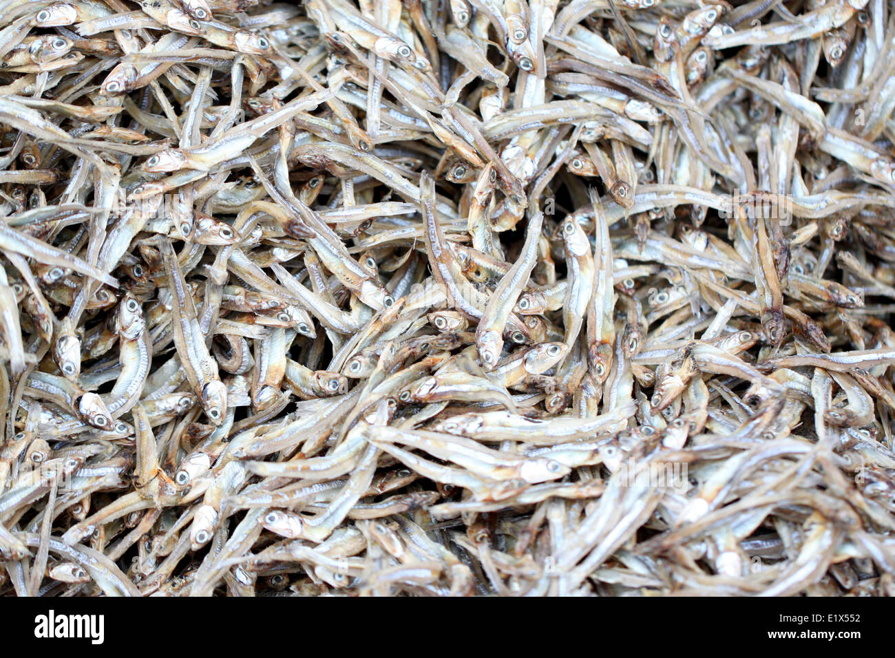 La textura de la anchoa fish después del secado en un solar listo para cocinar. Foto de stock