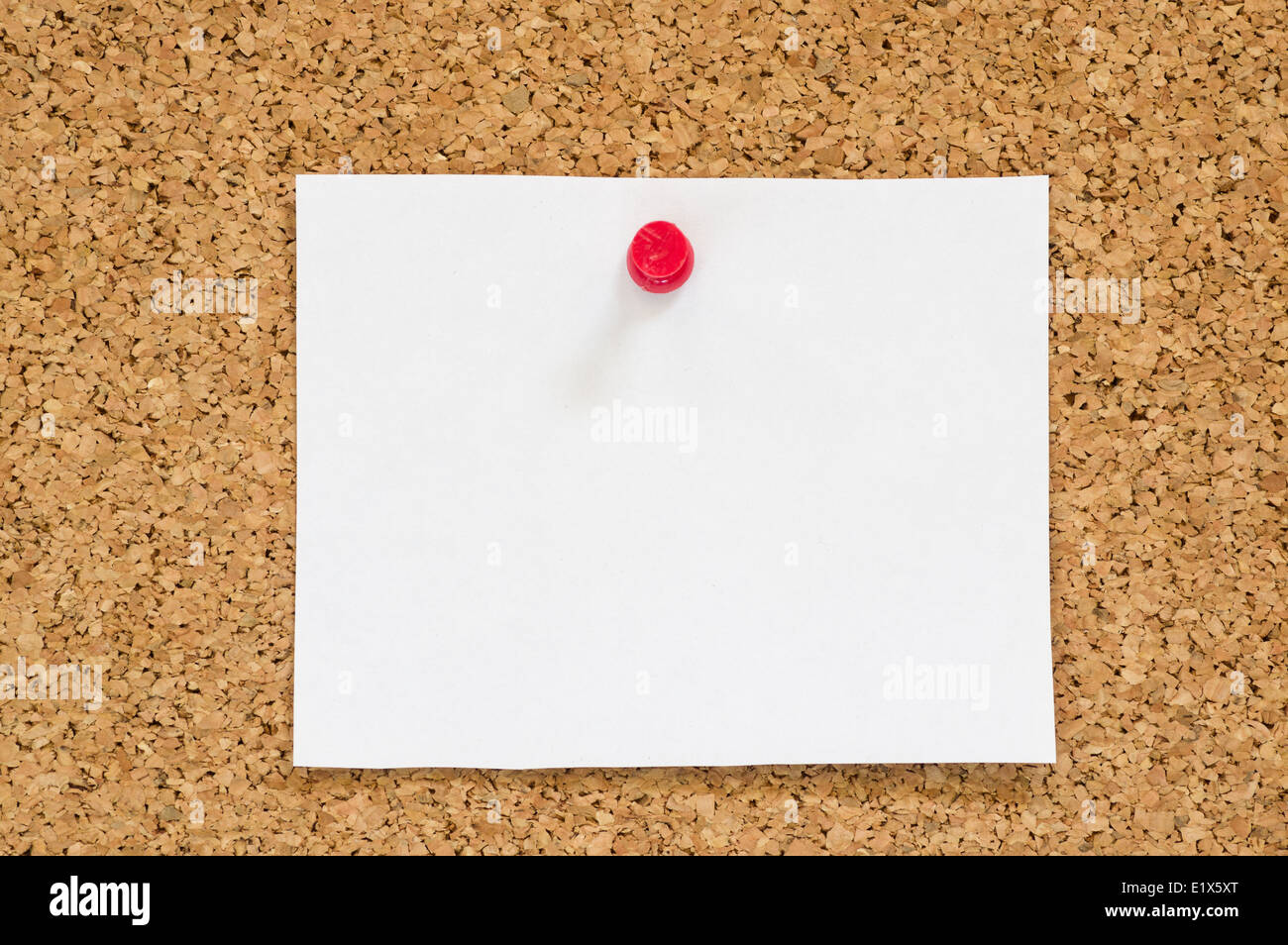 Papel blanco aviso publicado en el tablero de corcho con la chincheta roja Foto de stock