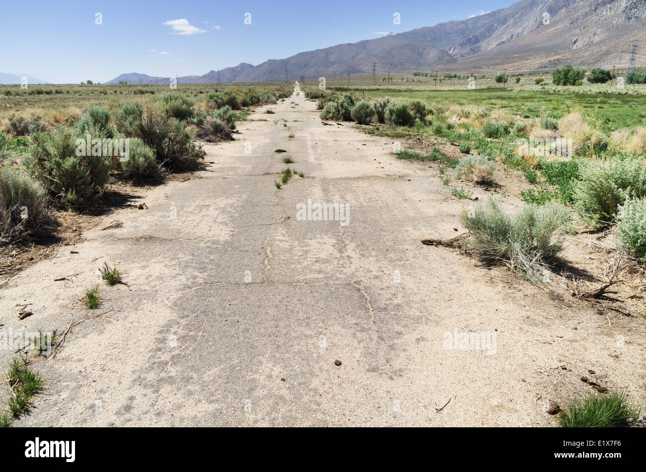 Antiguo camino pavimentado abandonado lentamente siendo reclamados por la naturaleza Foto de stock