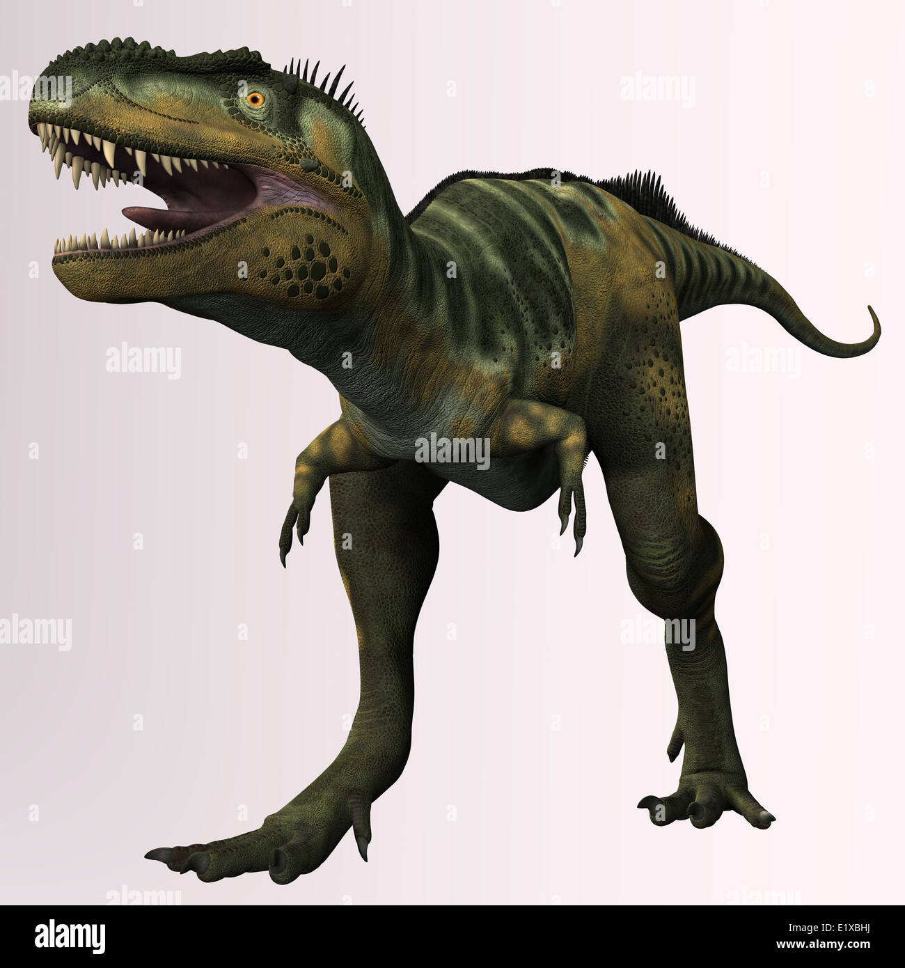 Bistahieversor tyannosaurid es un género de dinosaurios que vivieron  durante el período Cretácico en Nuevo México Fotografía de stock - Alamy