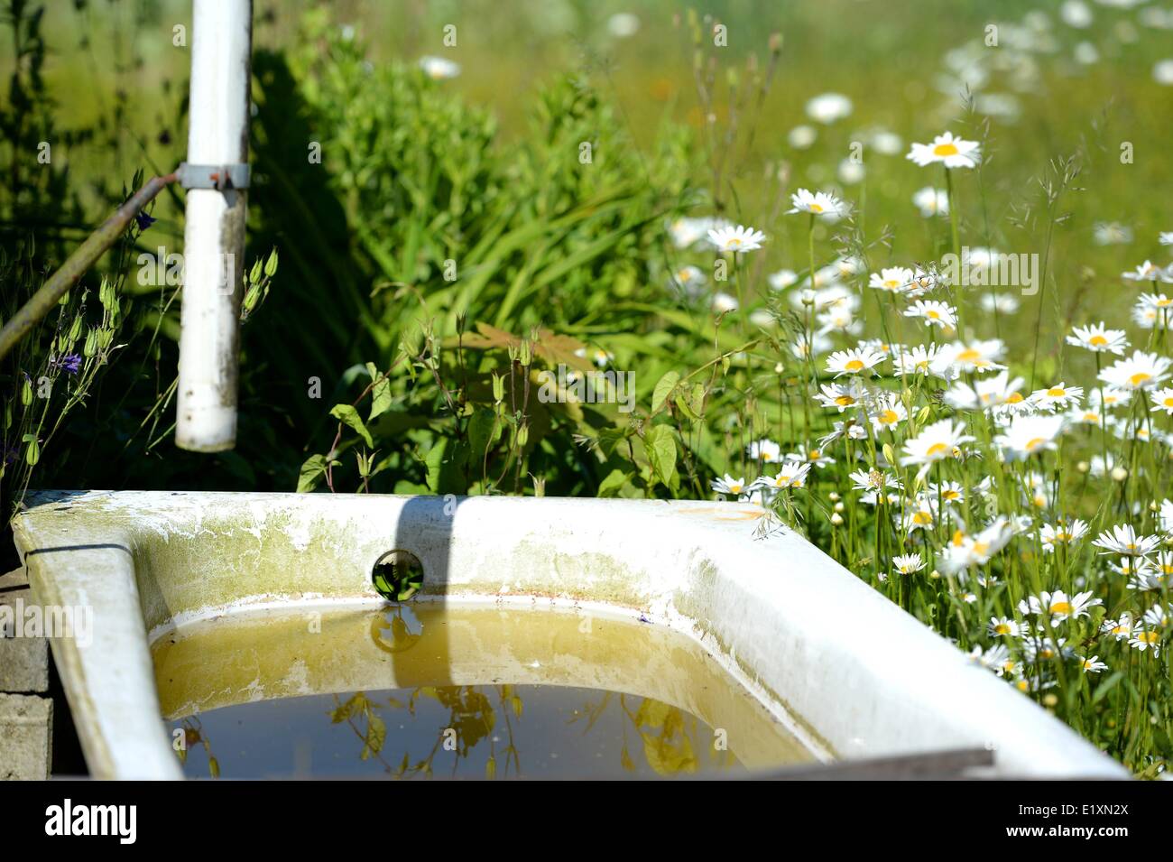 Un sistema de agua de lluvia en un jardín en Alemania, 06. De junio de 2014. Foto: Frank Mayo Foto de stock