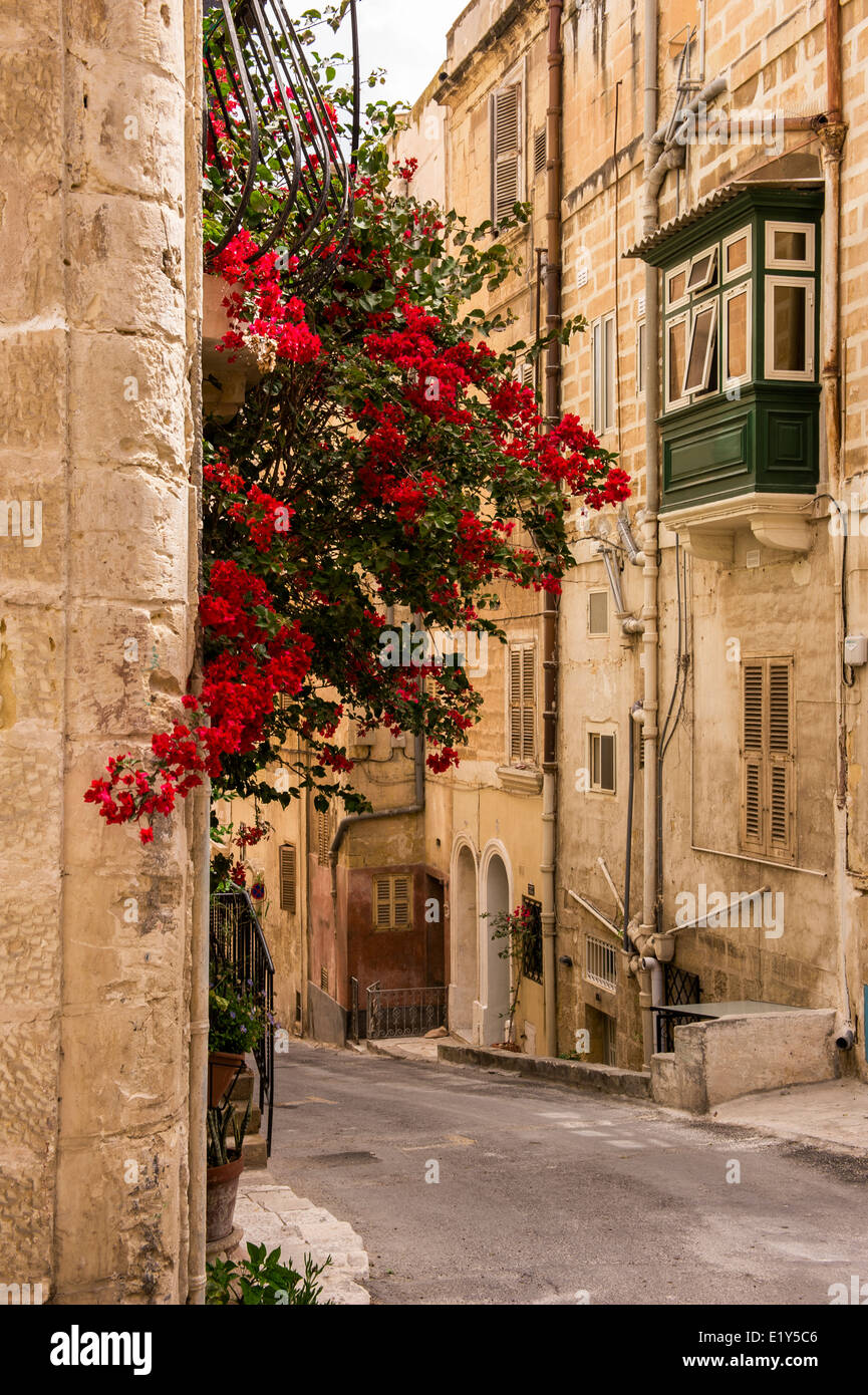Una típica escena callejera en la capital de Malta, Valletta. Foto de stock
