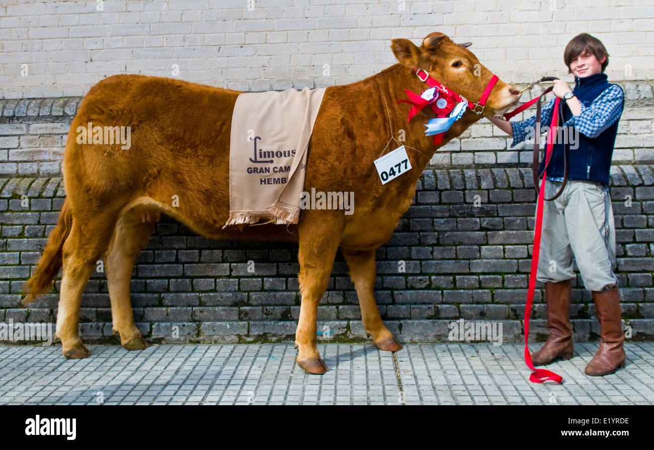 Participante en el Anular exposición 'Expo Prado", en Montevideo, Uruguay, la exposición rural más importante del país Foto de stock