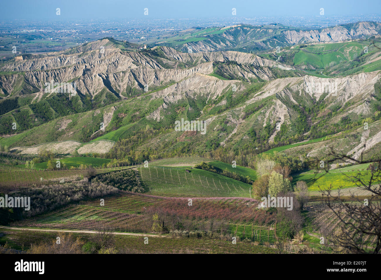 Colinas con la erosión de los valles, las estribaciones de las montañas de los Apeninos, detrás de la planicie costera del Adriático, Brisighella Foto de stock