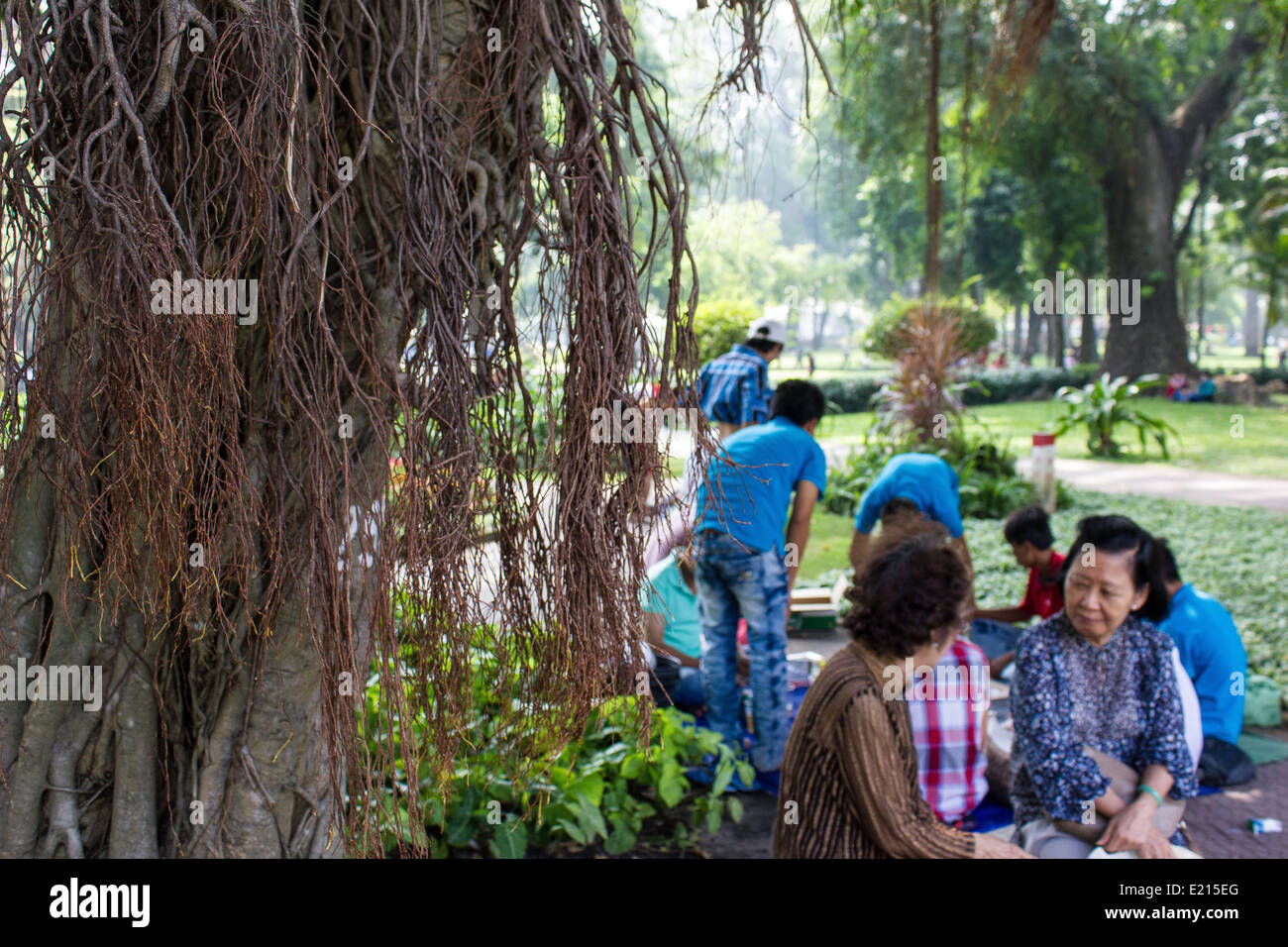 Tao Dan Park es Ho Chi Minh más grande y más atractivo espacio verde, su banco paseos revestidos con avenidas sombreadas de árboles. Foto de stock