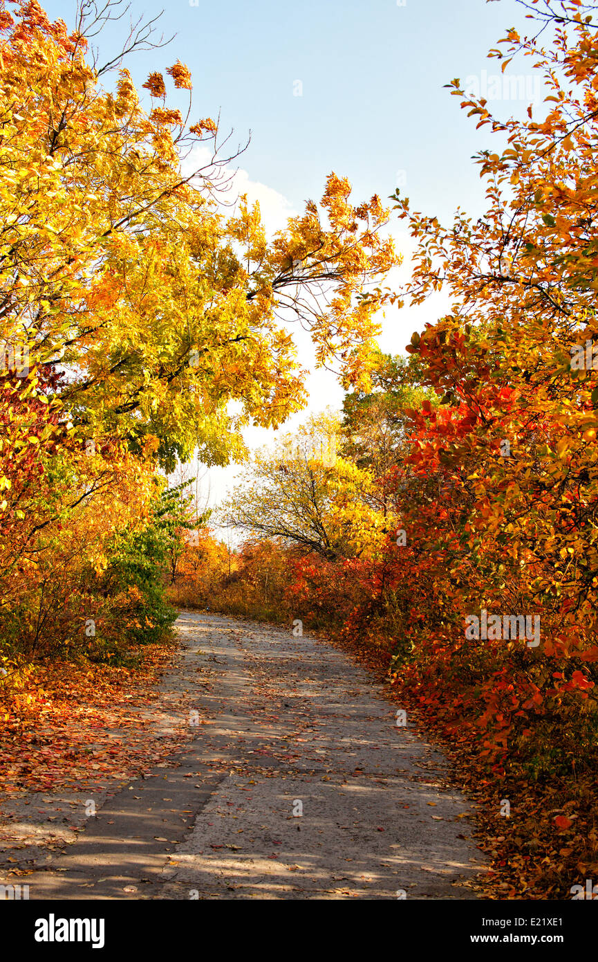 Colores de otoño country road Foto de stock