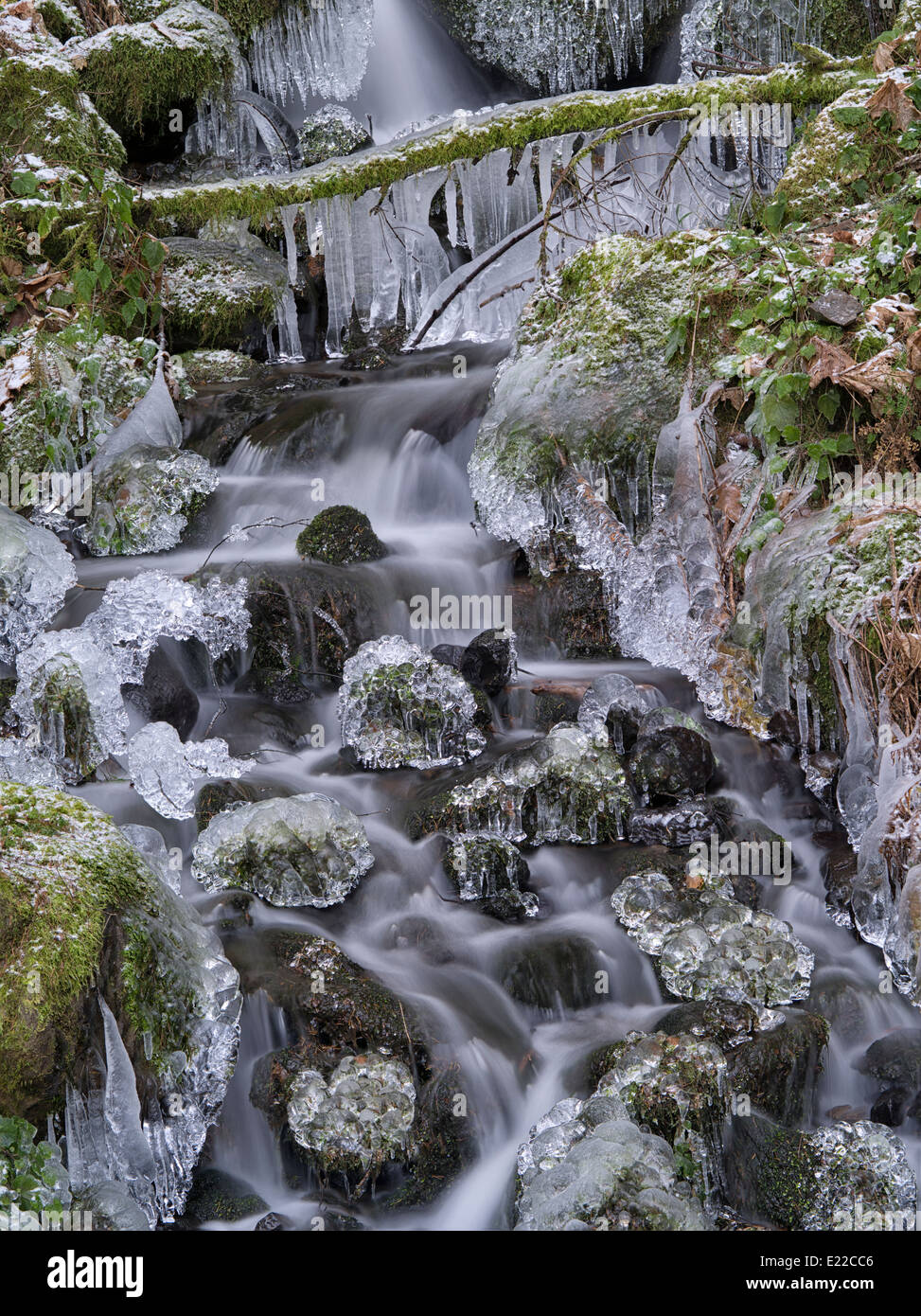 Alimentador de temporada pequeño arroyo con hielo. Columbia River Gorge National Scenic Area, Oregón Foto de stock