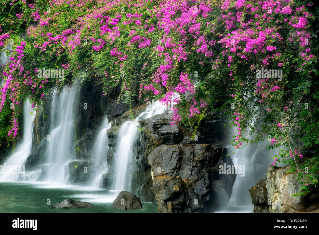 Cascada de flores fotografías e imágenes de alta resolución - Alamy