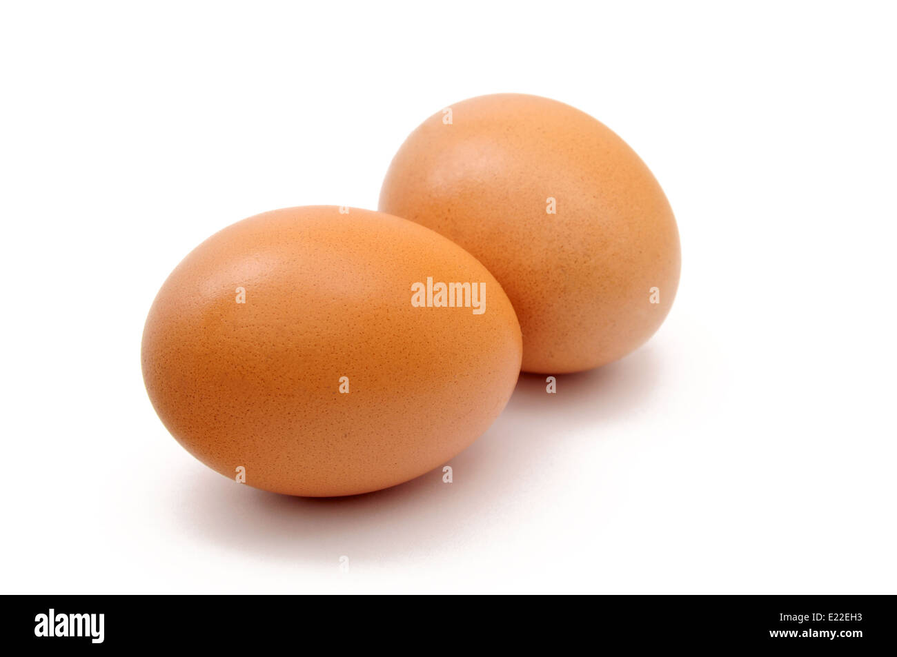 Dos huevos de gallina sobre fondo blanco. Foto de stock