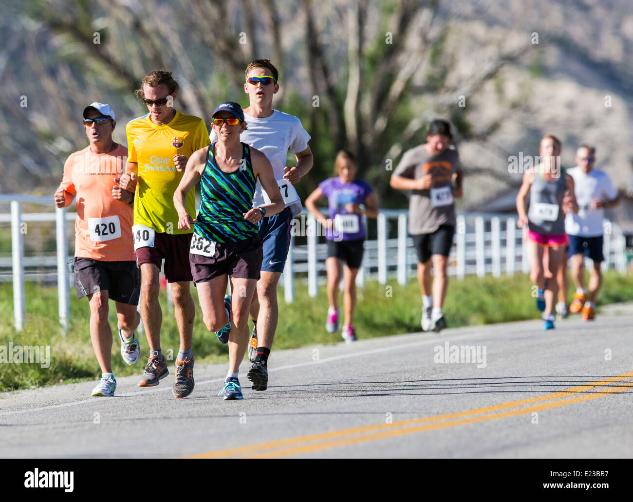 Los corredores en la carrera de 5K y 10K, carreras a pie Fibark festival anual, Salida, Colorado, EE.UU. Foto de stock